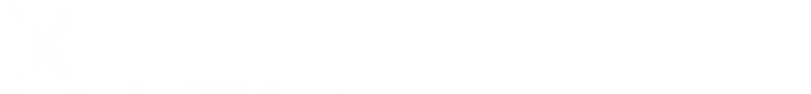 Minelab X-Terra 305 Define Dedektörü