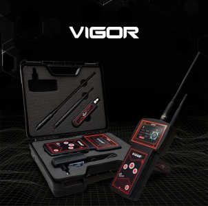VIGOR