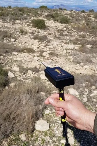 Britbe Tesoro Gold Max